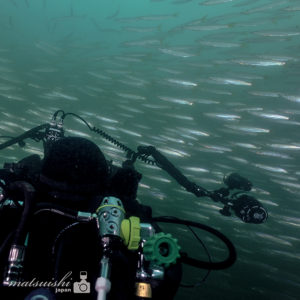 リブリーザーダイビング