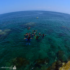 fukuoka,ダイビング