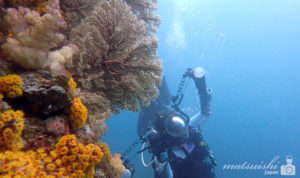 硫黄島ダイビング