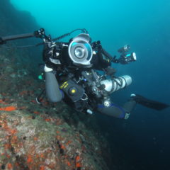 リブリーザーダイブ,福岡