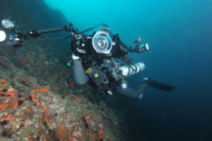 リブリーザーダイブ,福岡