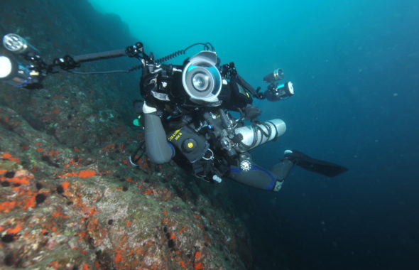 リブリーザーダイブ,福岡