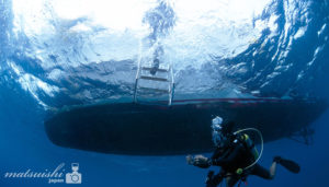 ボートダイビング