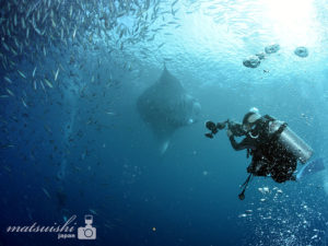 マンタポイント