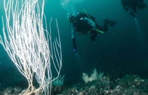 ディープダイビング浮力変化