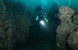 ディープダイビングのファンダイブ