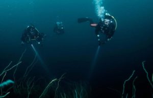 ディープダイビングの中層