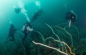 ディープダイビング講習