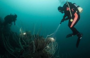 ディープダイビングの景色