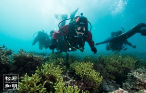 ミドリイシサンゴ