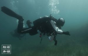 ガイドダイバー