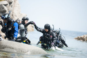 ダイブマスター