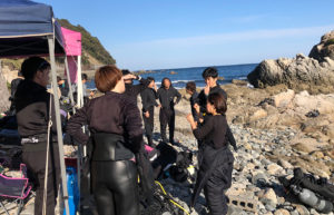志賀島のダイビングの様子