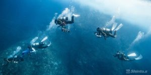 外洋の海に飛び込むダイバーだち