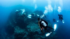 沈み瀬ダイビング