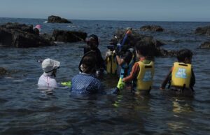 スノーケリング