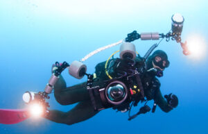 ミラーレスを持って泳ぐダイバー