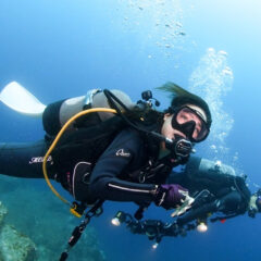 トリムダイバー