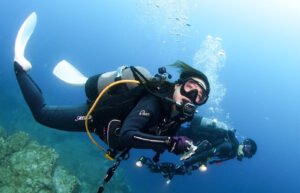 トリムダイバー