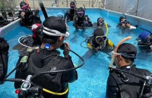 プール講習