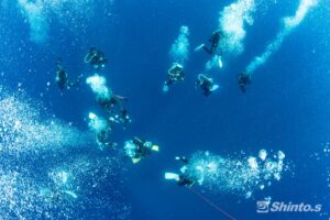 ブルーウォーター