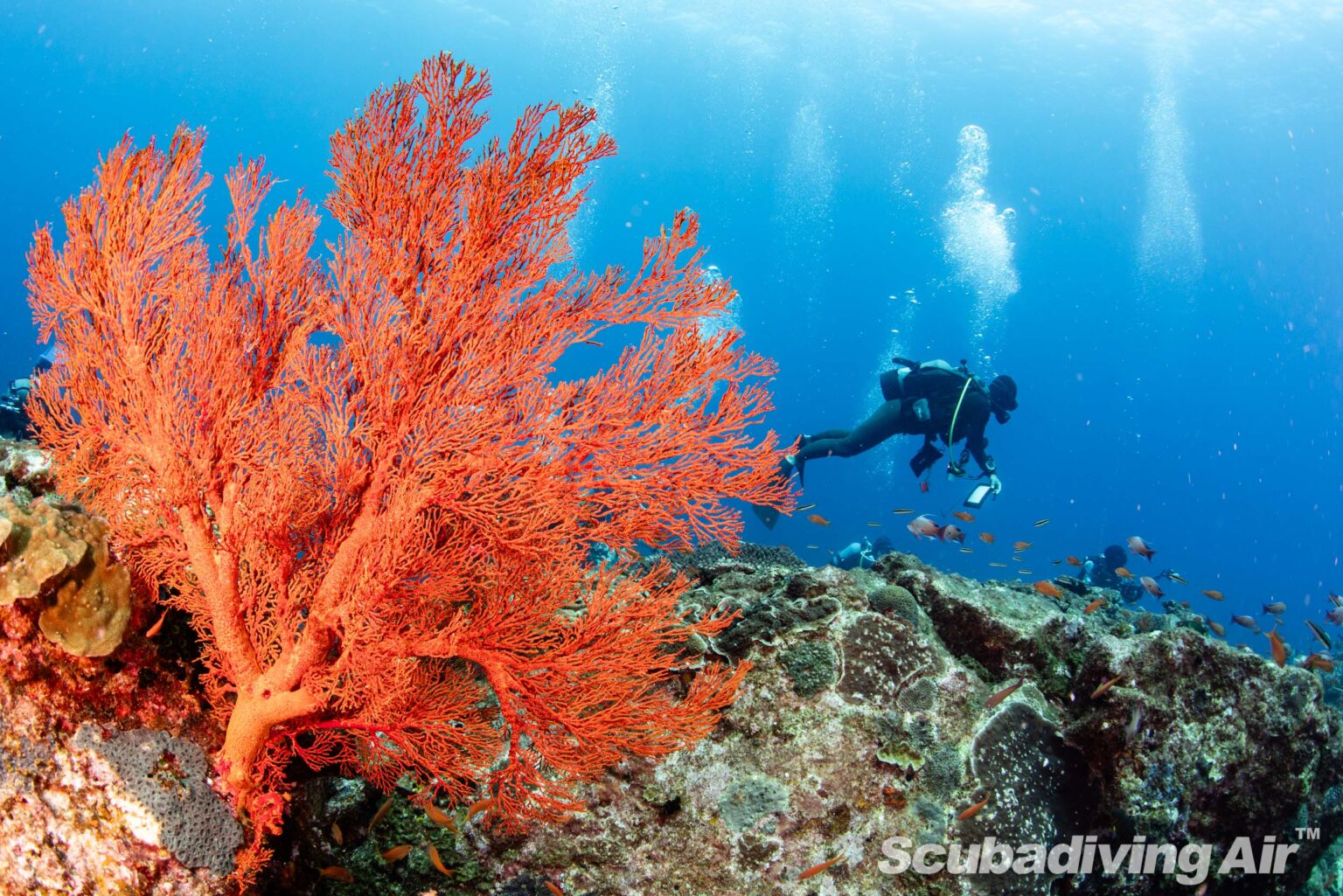 ioujima2024_7150 松石和明 Official Site